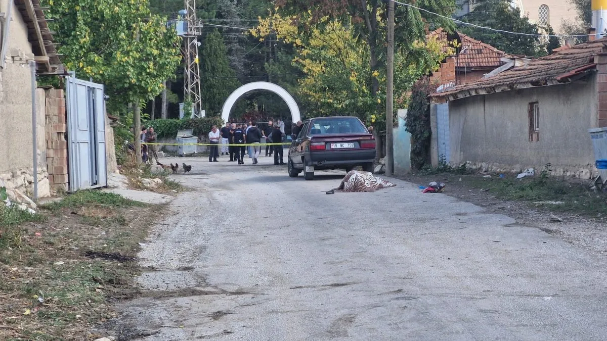 Çorum’daki arazi kavgasında kan aktı: Muhtar Gazi Güler öldü kardeşi ağır yaralı!