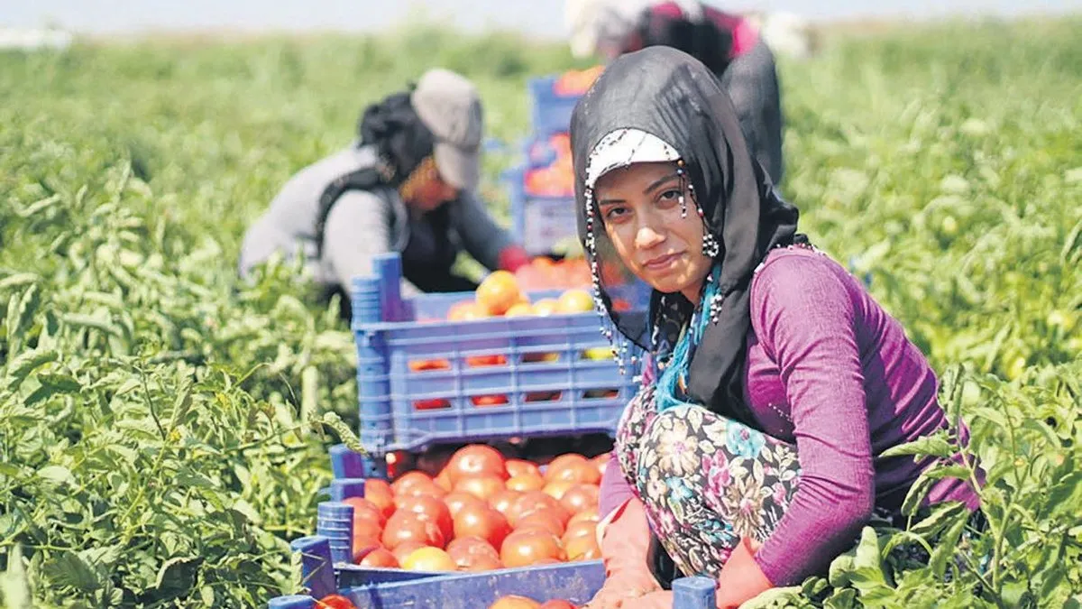 Tarım kadın eliyle güçleniyor – Ekonomi Haberleri