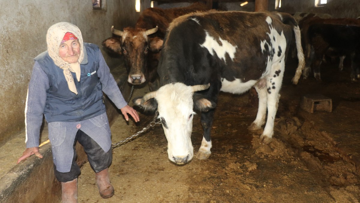 Erzincan’da 79 yaşındaki Dilber ninenin hayat mücadelesi