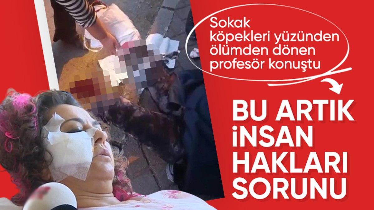 Bu artık insan hakları sorunu