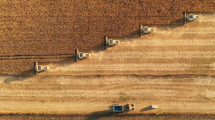 Tarımsal girdi fiyat endeksi arttı – Son Haberler