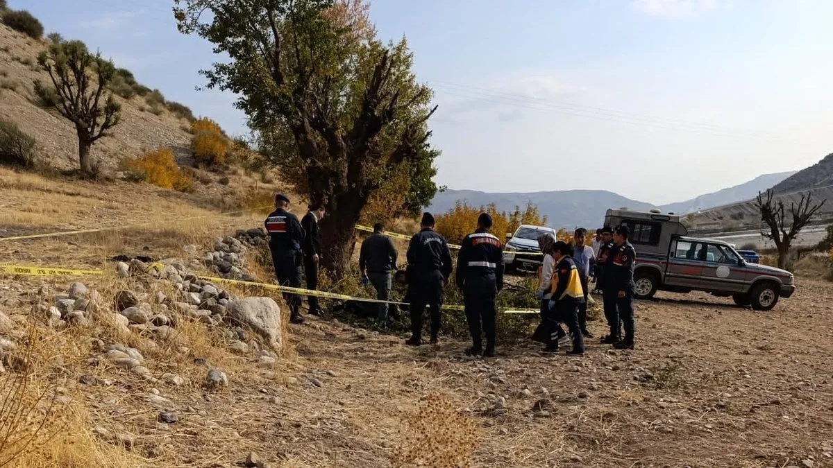 Budadığı ağaç sonu oldu: 75 yaşındaki İbrahim Bozkurt’tan acı haber!