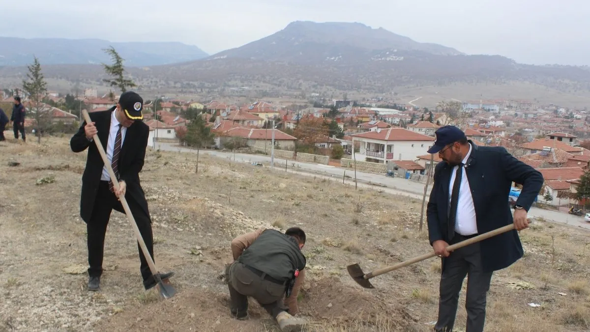 Bayat’ta bin adet fidan toprakla buluştu