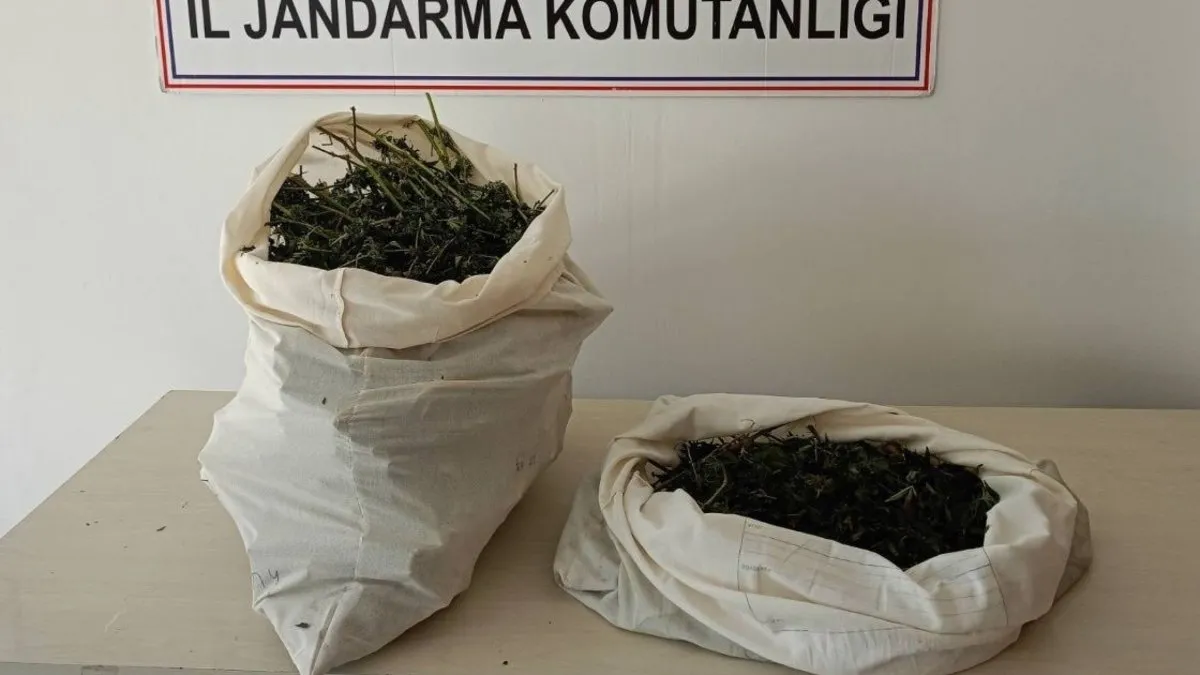 Bingöl’de 7 kilogram 150 gram kubar esrar ele geçirildi #bingol