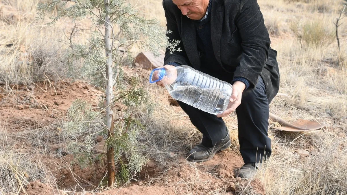 Çorak arazileri ormana dönüştürüyor: “Bu benim için hobi değil yaşam tarzı” – Galeri