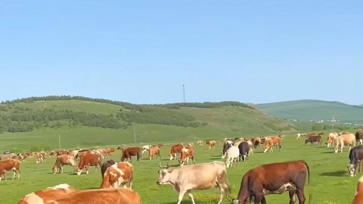 Dünyanın en güzel manzaralı yürüyüş yolu: Ardahan Hanak’ın Yeşilyol’u