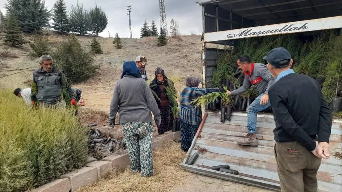 Kendi imkanlarıyla fidan diktiler – Kırşehir Haberleri