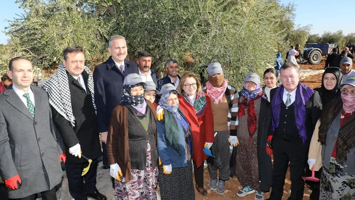 Nizip’te zeytin festivali düzenlendi – Gaziantep Haberleri