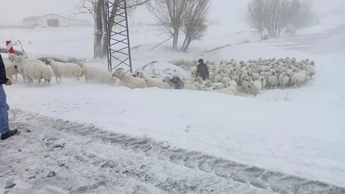 Sivas’ta karda mahsur kalan çobanlar kurtarıldı