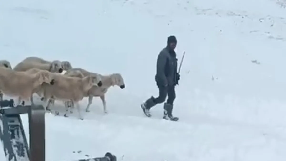 Sivas’ta mahsur kalan çobanlar 7 saatte kurtarıldı