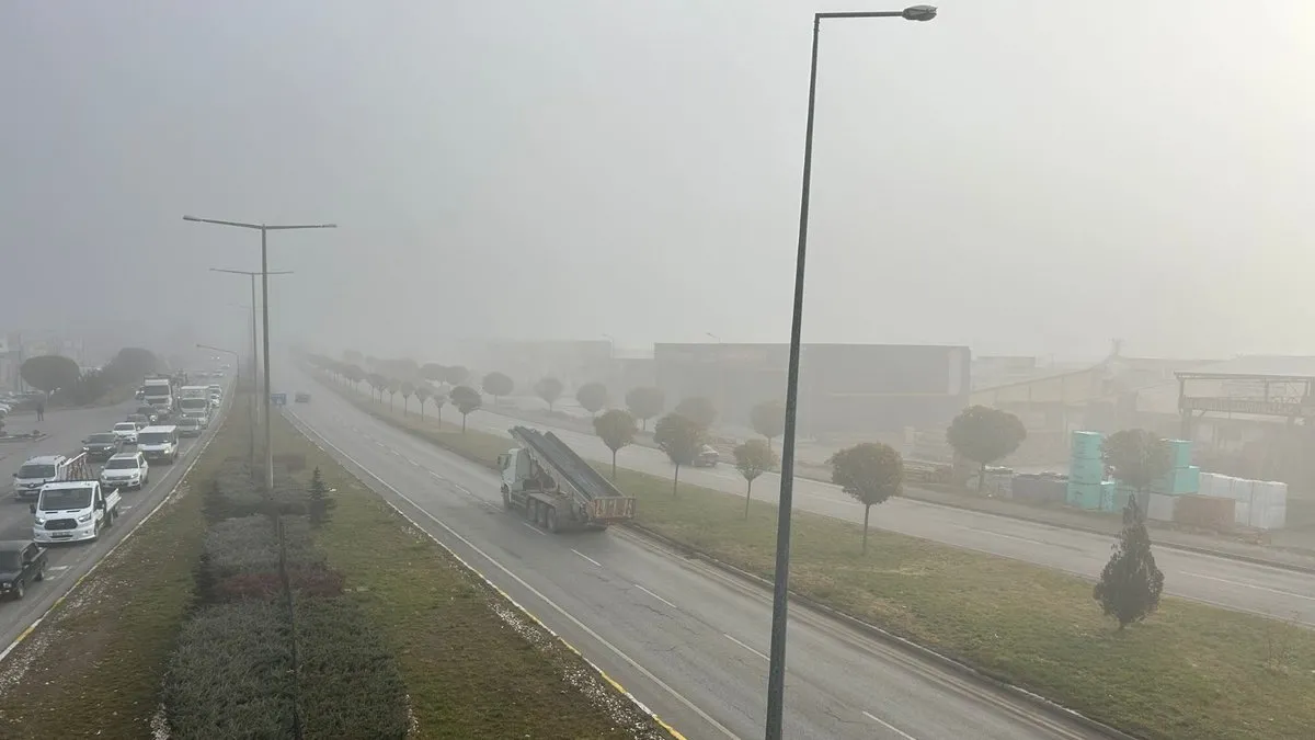 Sivas’ta yoğun sis etkili oldu