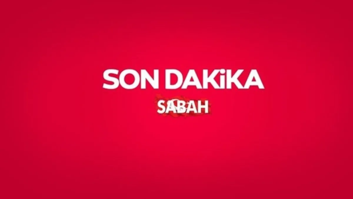 SON DAKİKA | Yenidoğan Çetesi davasında ara karar!