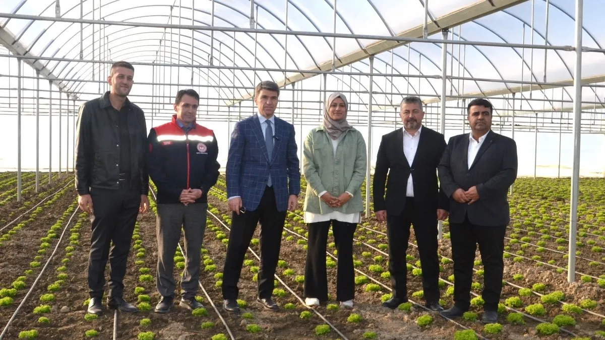 Vali Önder Bakan, Amasya’nın seralarını yerinde inceledi