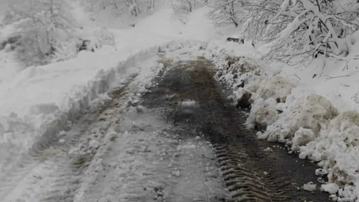 Yaşlı hastanın imdadına büyükşehir yetişti