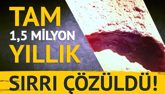 2021’de ortaya çıkarılmıştı! 1,5 milyon yıl önceki ayak izlerinin sırrı çözüldü: Önemli gerçek gözler önüne serildi