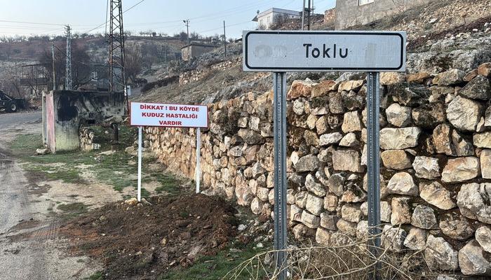 Kuduz alarmı verildi! Adıyaman’da bir köy 6 ay karantinaya alındı