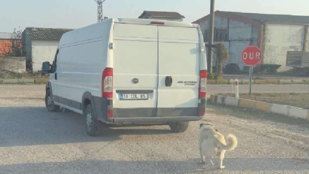 Balıkesir’de köpeği kamyonetin arkasına bağlayıp sürükledi