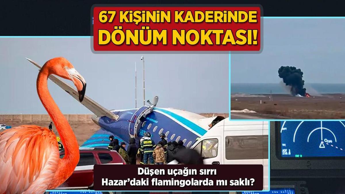 67 kişinin kaderinde dönüm noktası! Düşen uçağın sırrı Hazar’daki flamingolarda mı saklı?