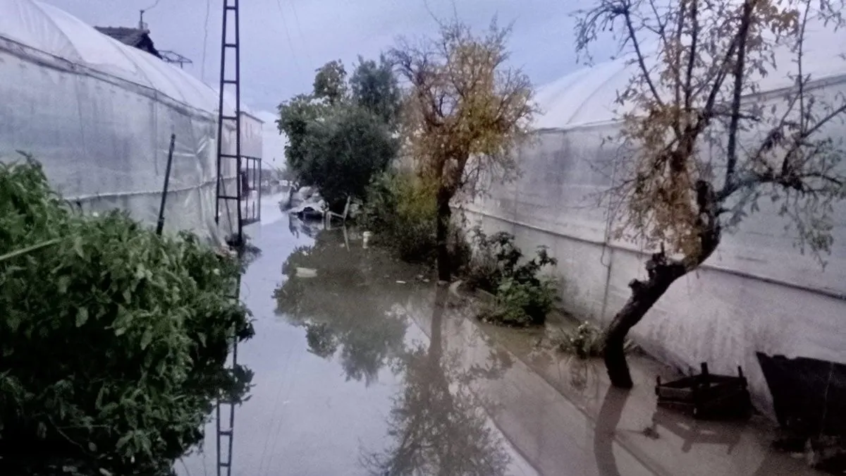 Antalya’da yağmur: Seralar sular altında kaldı