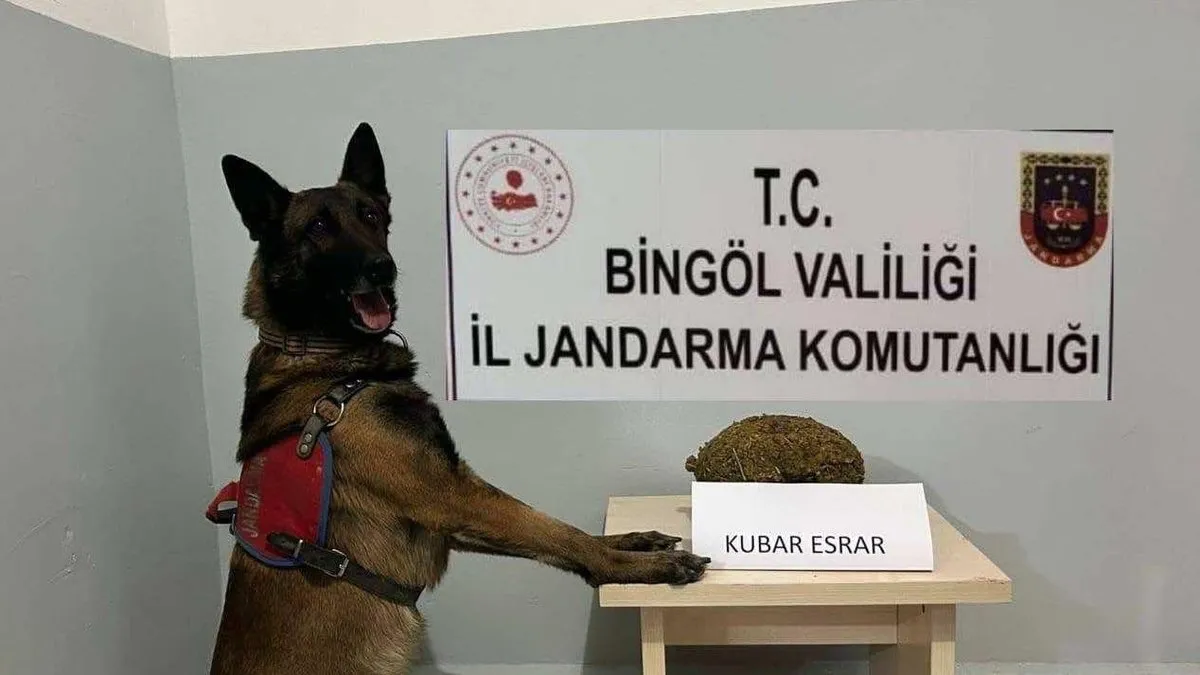 Bingöl’de arama kaydı bulunan 3 şüpheli yakalandı