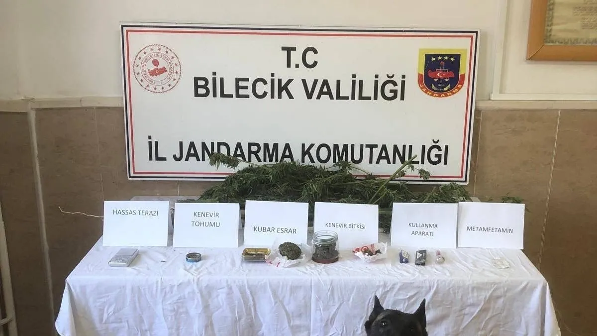 CHP’li Başkanın hazine arazisine uyuşturucu ektiği ortaya çıktı