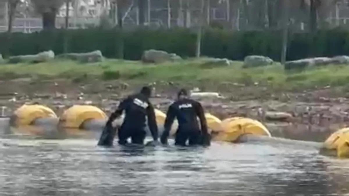 İzmit sahilinde şok! Domuz bağı yapılmış ceset bulundu