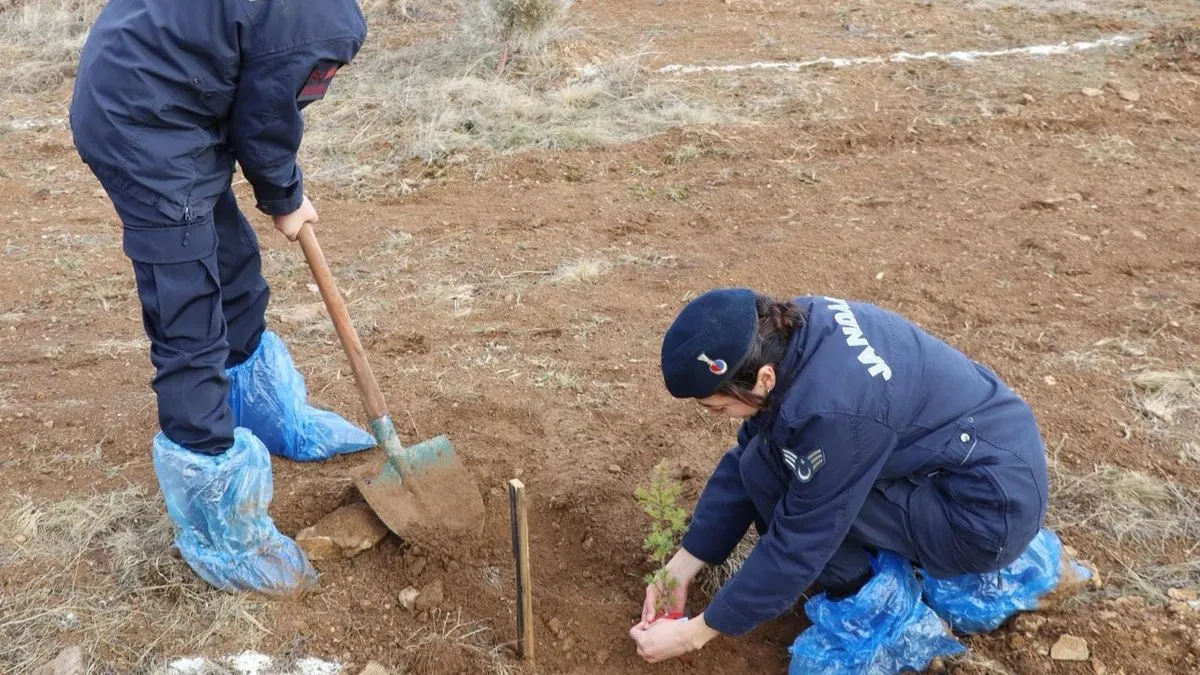 Jandarma gelecek nesiller için fidan dikti