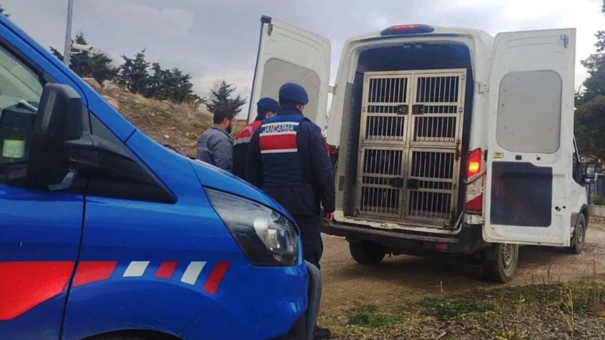 Kırıkkale’de köpek dövüşü operasyonu: 2 kişi kıskıvrak yakalandı! #kirikkale