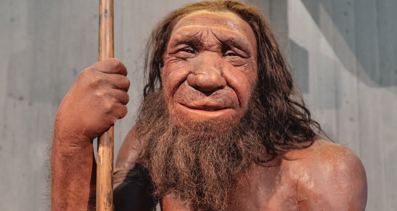 İspanya’da bulunan gizemli fosiller: Neandertallerin zekası…