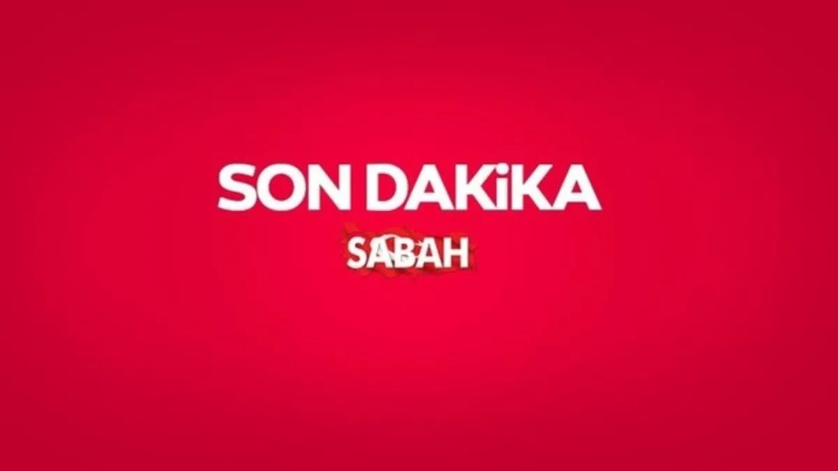 SON DAKİKA | Yenidoğan çetesi davasında ara karar! Tutuklu sayısı 29'a yükseldi