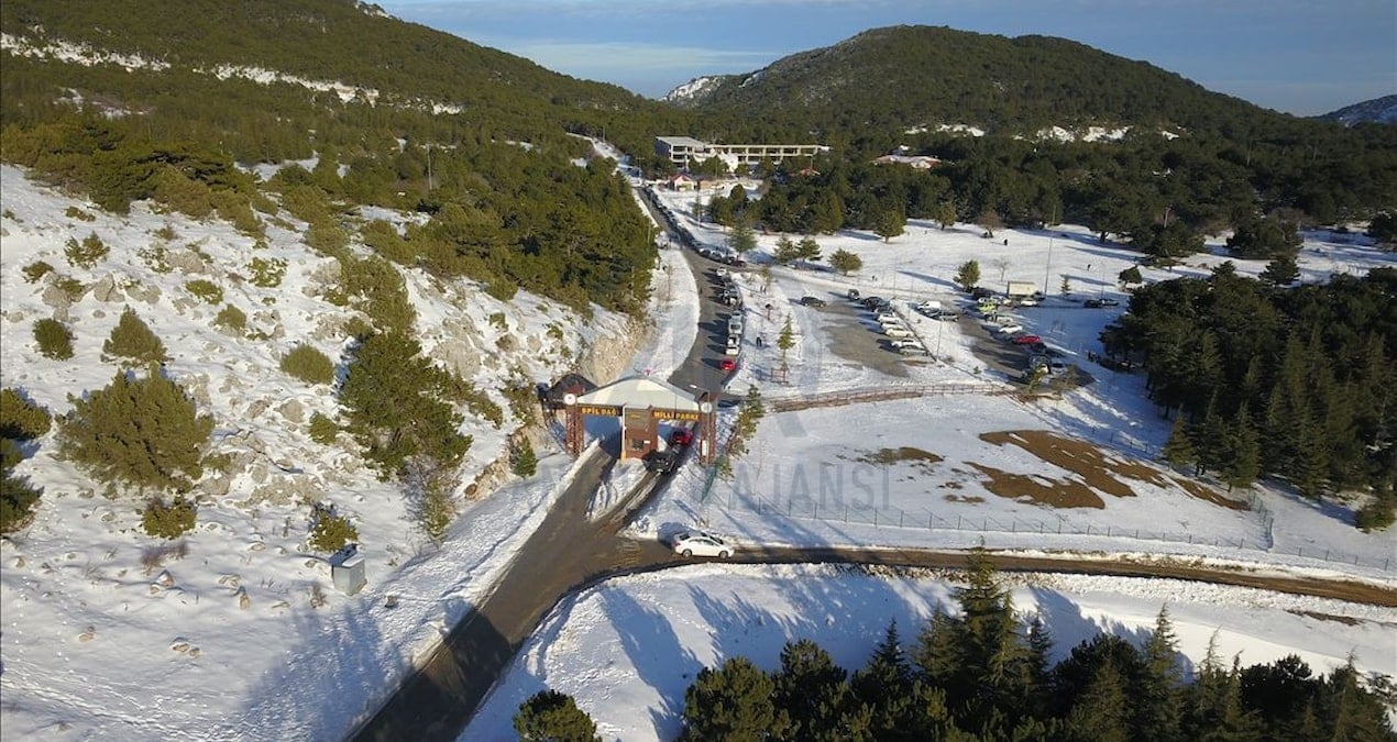 Spril Dağı'nda yaban hayvanı mesaisi başladı