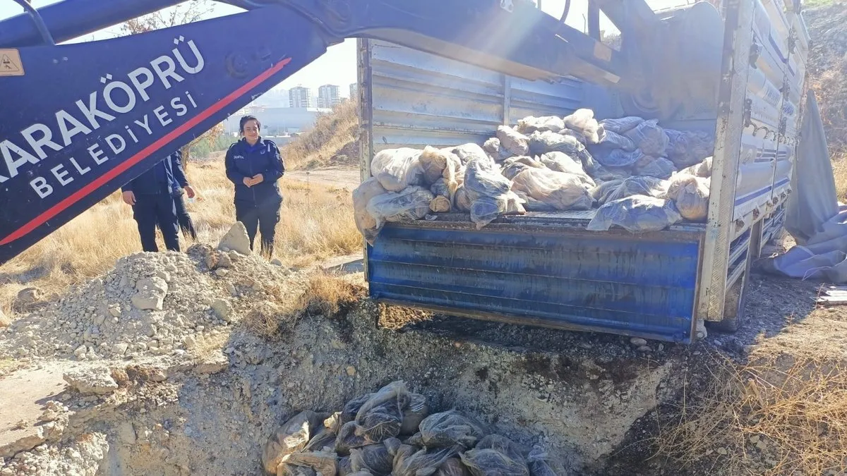 Şanlıurfa’da denetim: Tonlarca bozuk sakatat ve işkembeyi millete yedireceklerdi!