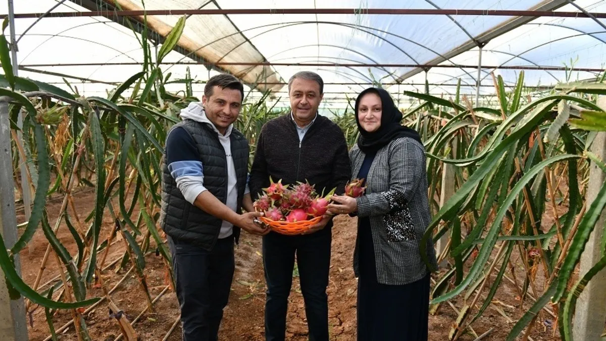 Urfa’da ejder meyvesi üreten kadına Vali Şıldak’tan tebrik ziyareti