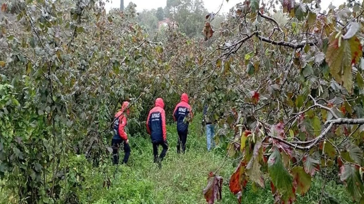 Yer Ordu: Hurma toplamaya gitmişti! Cansız bedeni bulundu… #ordu