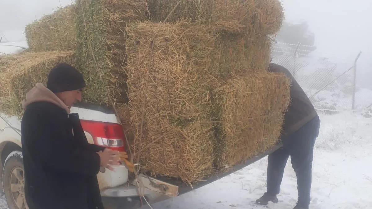 Zorlu kış şartlarında yaban hayatına destek: Sessiz kahramanlar sahada