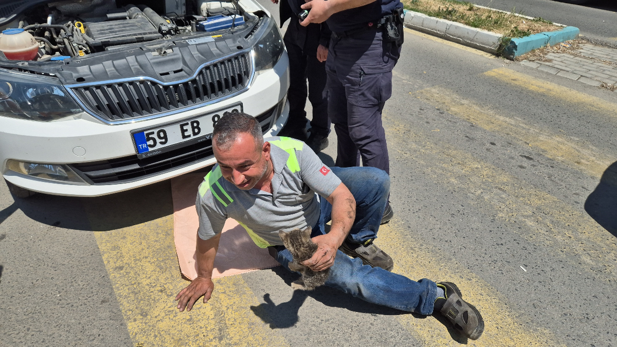Tekirdağ’da kedi sesiyle kedi kurtarma operasyonu