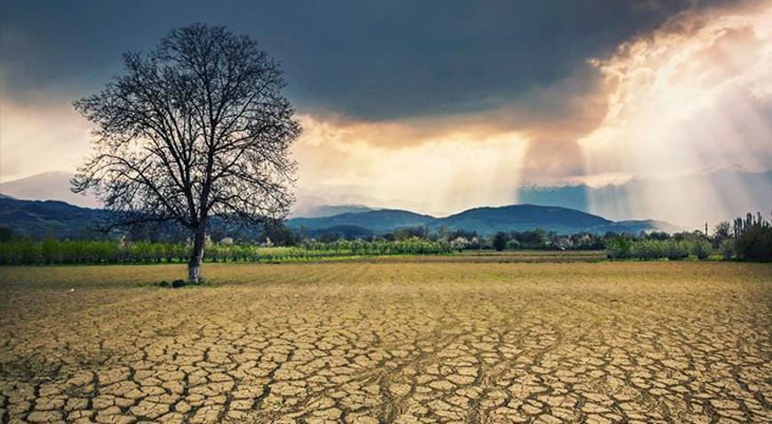 BM’den uyarı: İklim değişikliği 2050’ya kadar 80 milyon kişiyi açlığa itebilir