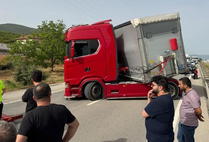 Bir arı, yüzlerce kişiyi yolda bıraktı