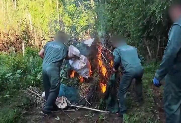 Hevsel Bahçeleri’nde 30 bin kök kenevir ele geçirildi