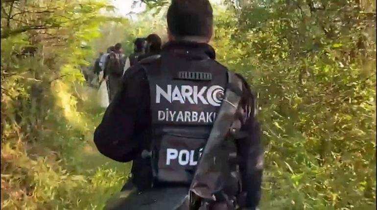 Hevsel Bahçelerinde 30 bin kök kenevir ele geçirildi