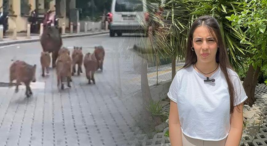 Marmaris’i istila ettiler: Şehir karantinaya alınabilir, giriş çıkışlar kapatılabilir