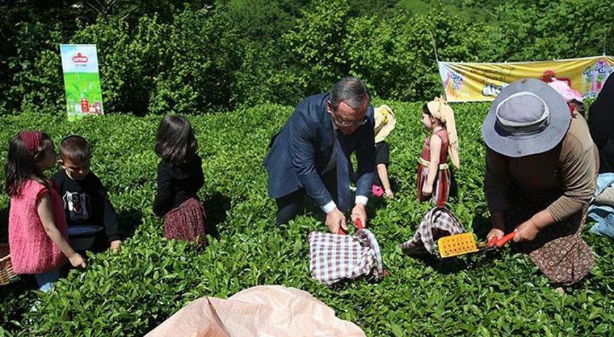 Artvin’de geleneksel çay hasadı etkinliği düzenlendi