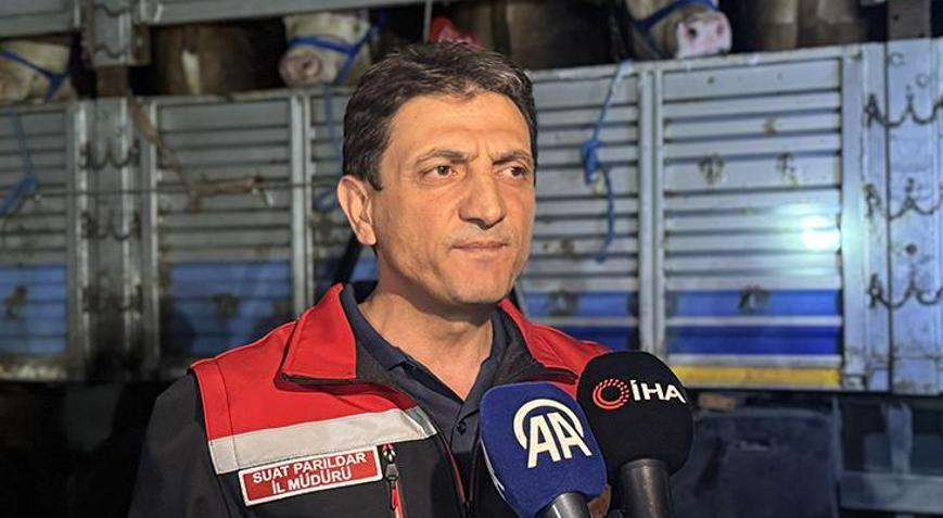 Kurban Bayramı yaklaştı! İstanbul’a kurbanlık hayvan girişleri başladı