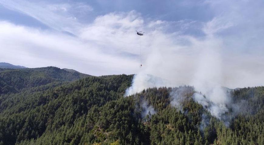 Kahramanmaraş’ta orman yangını! Ekipler harekete geçti