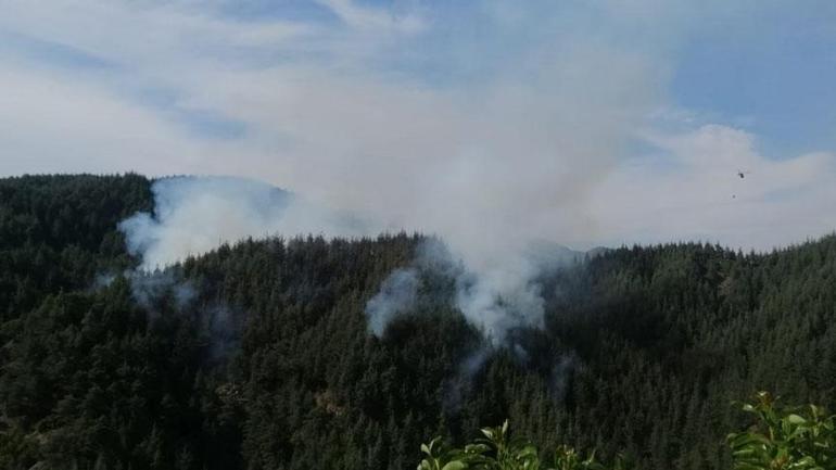 Kahramanmaraş’taki orman yangını kontrol altına alındı