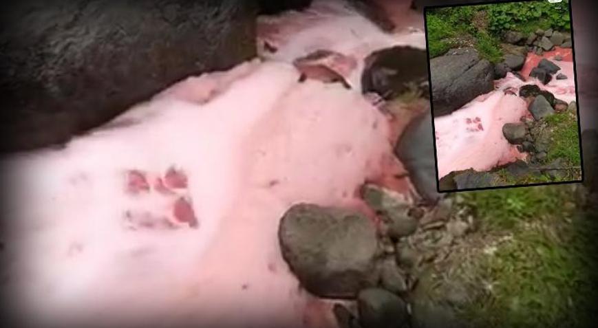 Dere yatağındaki suyun rengi sosyal medyada gündem olmuştu! Rize Valiliği’nden açıklama