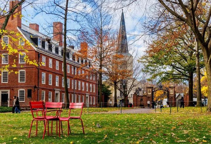 Harvard Üniversitesi’nden ABD Başkanı Donald Trump’a dava: Öğrencileri silmeye çalıştı