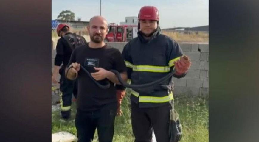 Dev panik! Yılanı gören telefona sarıldı, metrelerce uzunlukta…