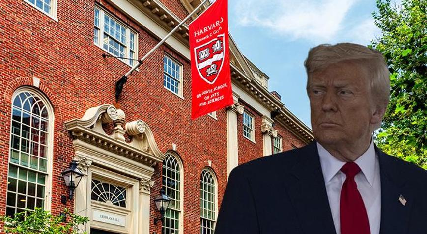 Tokyo Üniversitesi, Harvard planından etkilenen yabancı öğrencilere kapısını açıyor