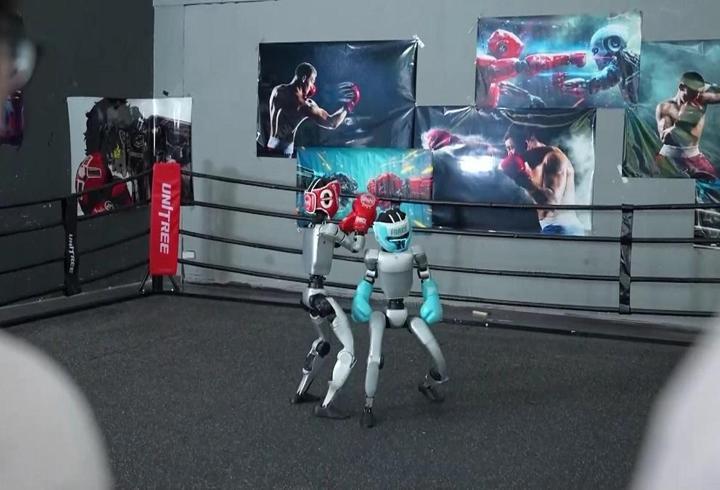 DÜNYADA BİR İLK! Ringe çıkan bu sefer robotlardı